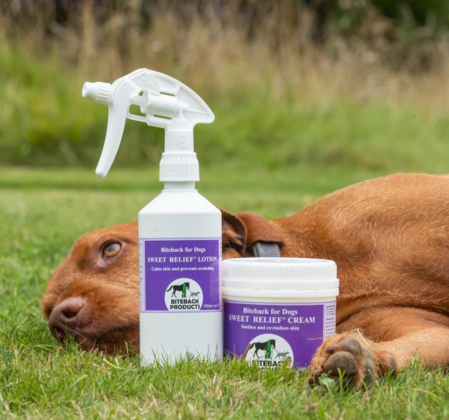 Calming lotion for clearance dogs