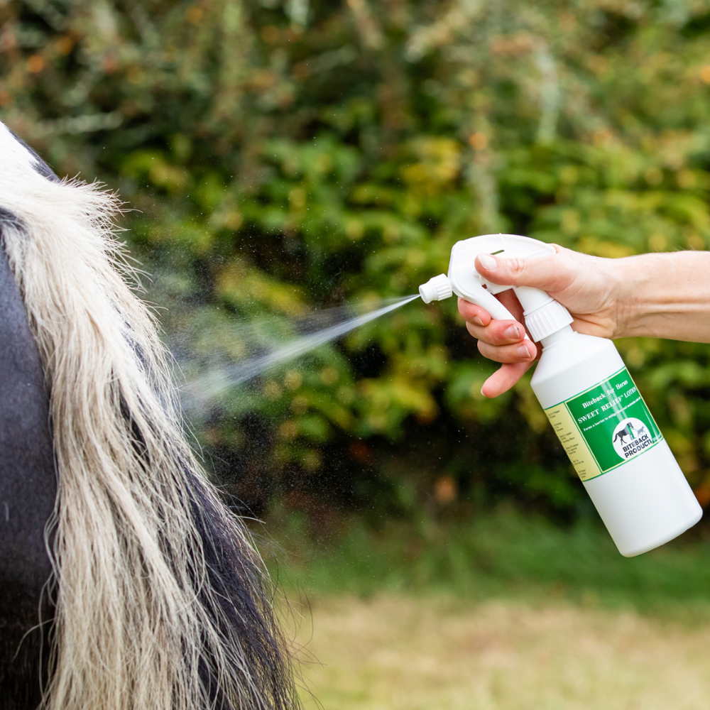 Applying Sweet Relief lotion to an itchy tail