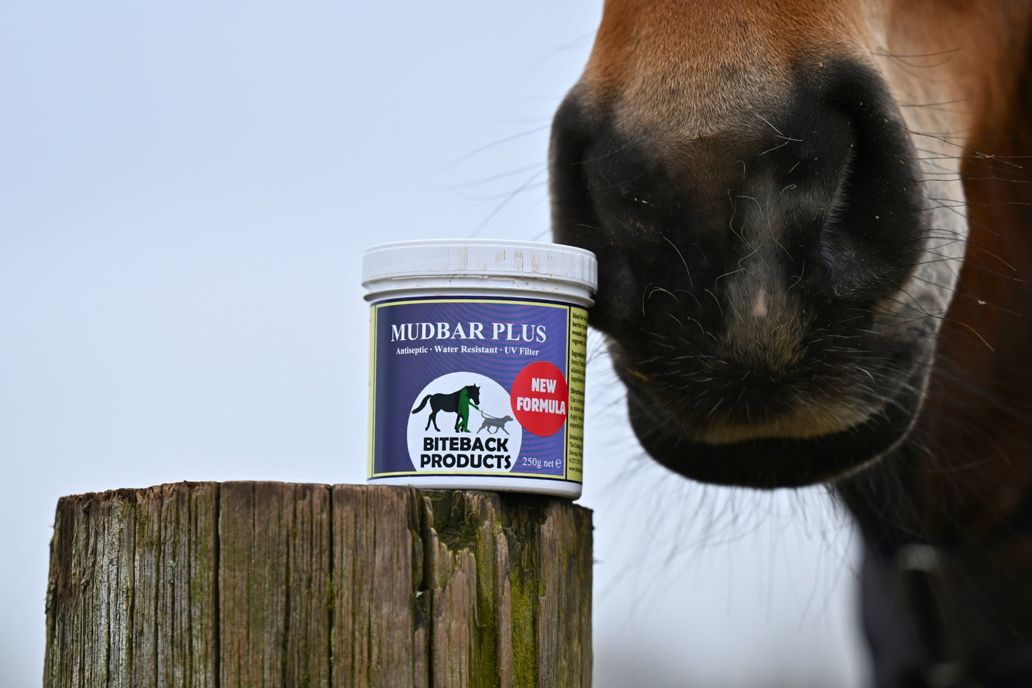 Mudbar_Plus_cream with UV filter for horses