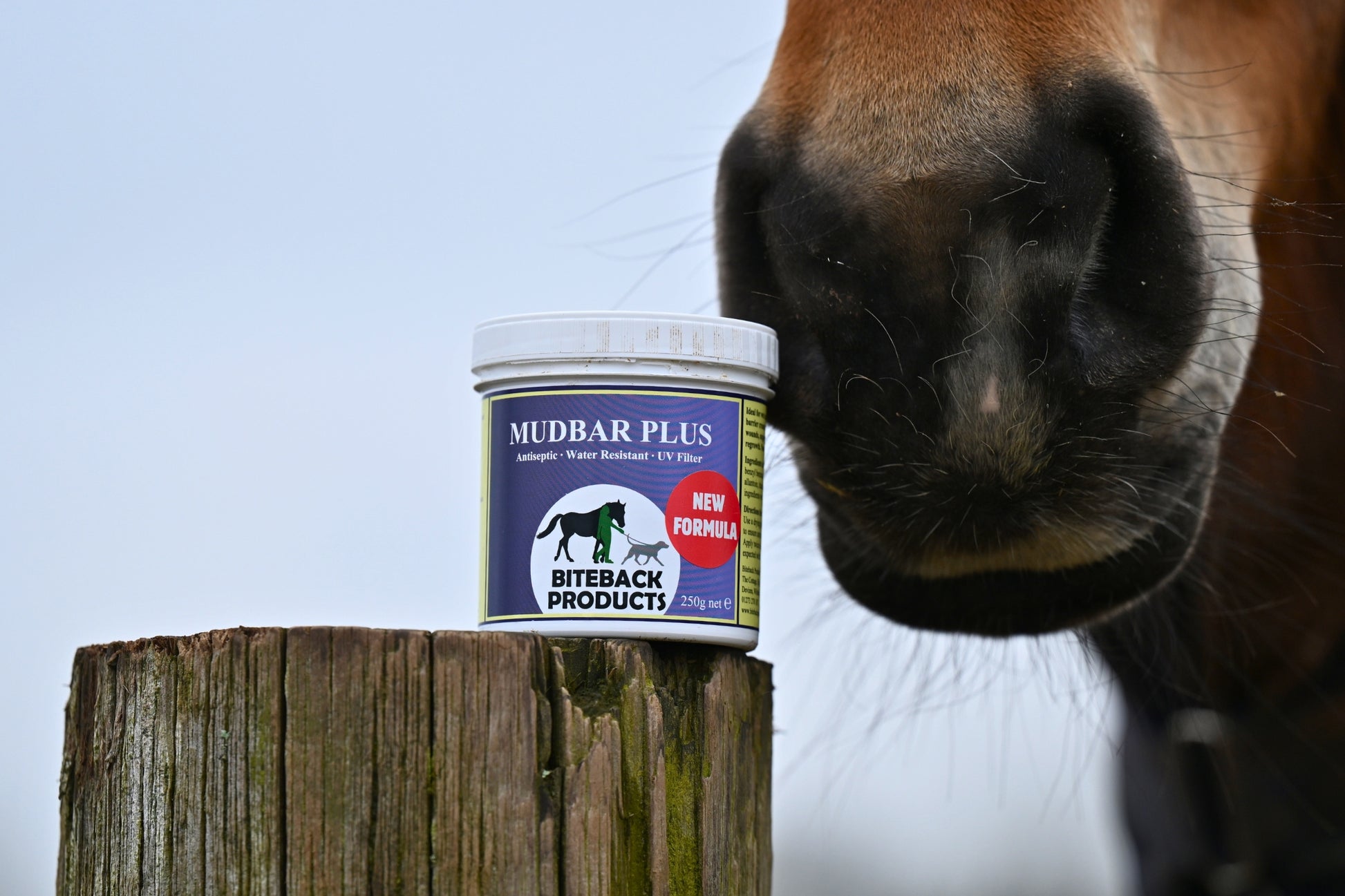 Mudbar_Plus_cream with UV filter for horses