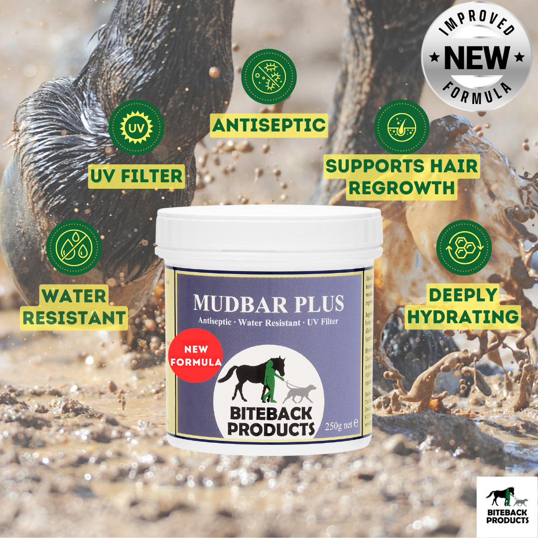 Benefits of Mudbar Plus cream for horses