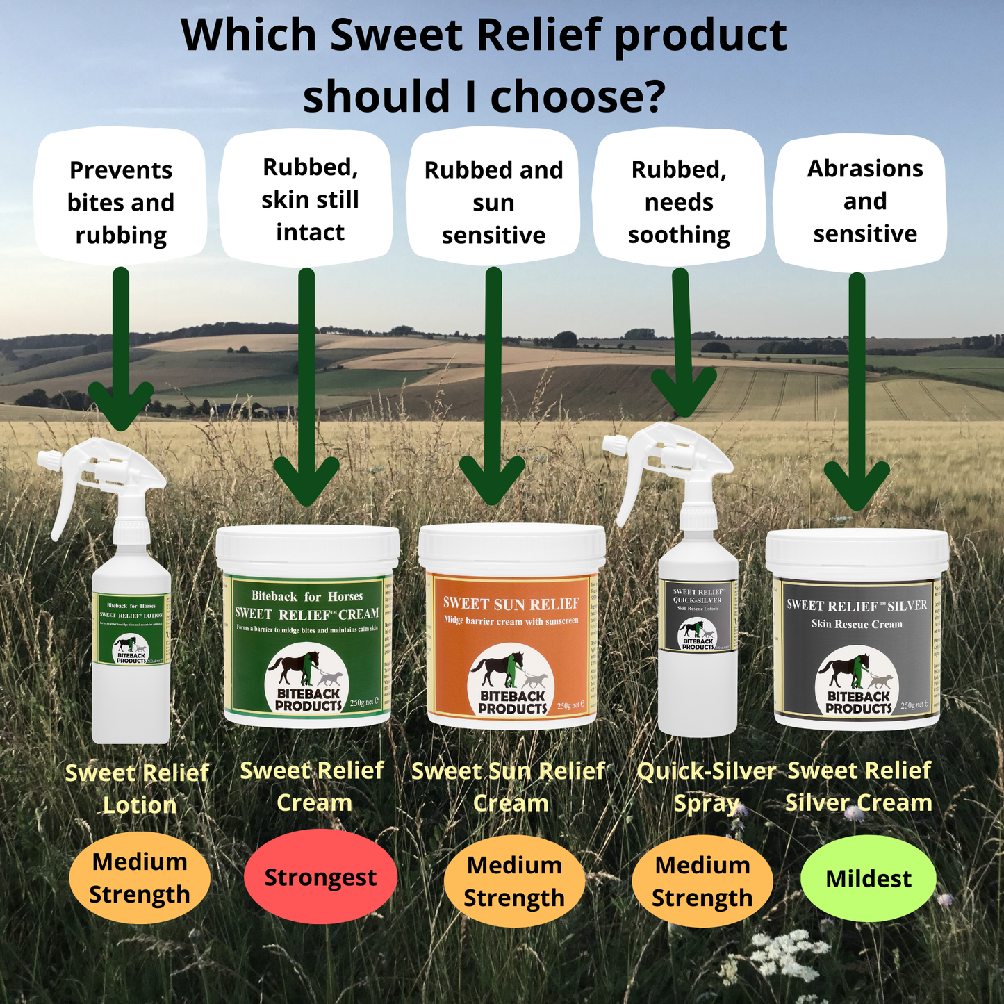 Guide to Biteback Sweet Relief products