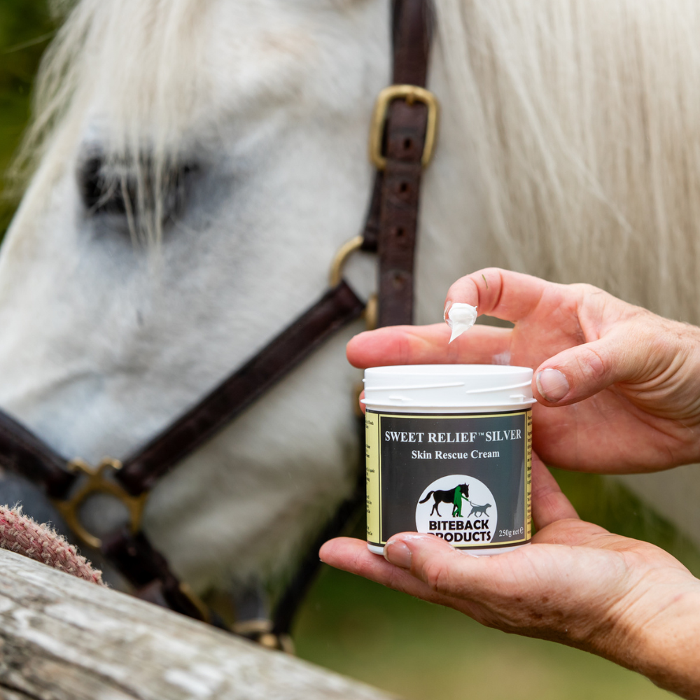Sweet Relief Silver 250g being applied to sore horse skin