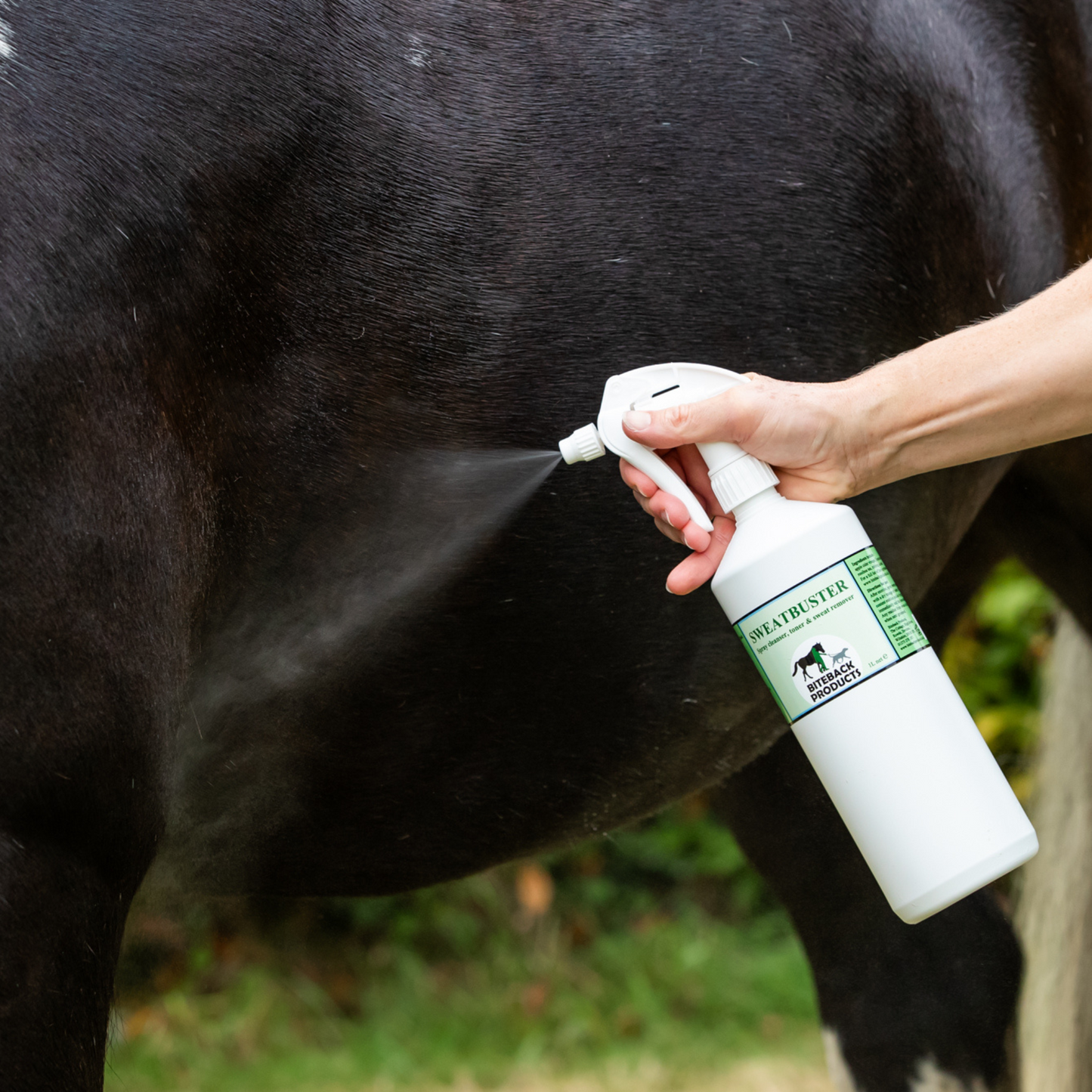 Sweatbuster cleaner and sweat remover for horses