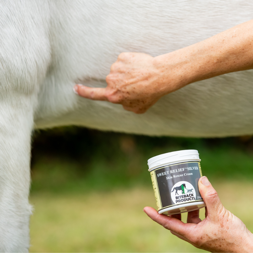 Applying Silver cream to sensitive horse skin