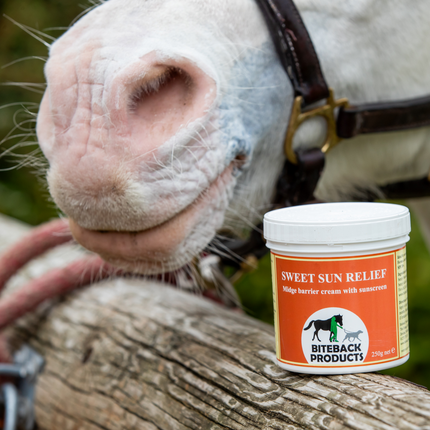 A pot of Sweet Sun Relief sun cream for horses