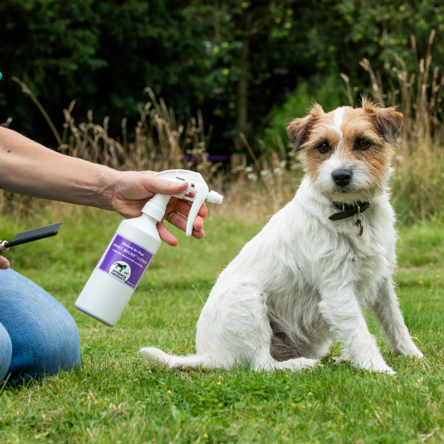 Soothing spray for itchy dog skin