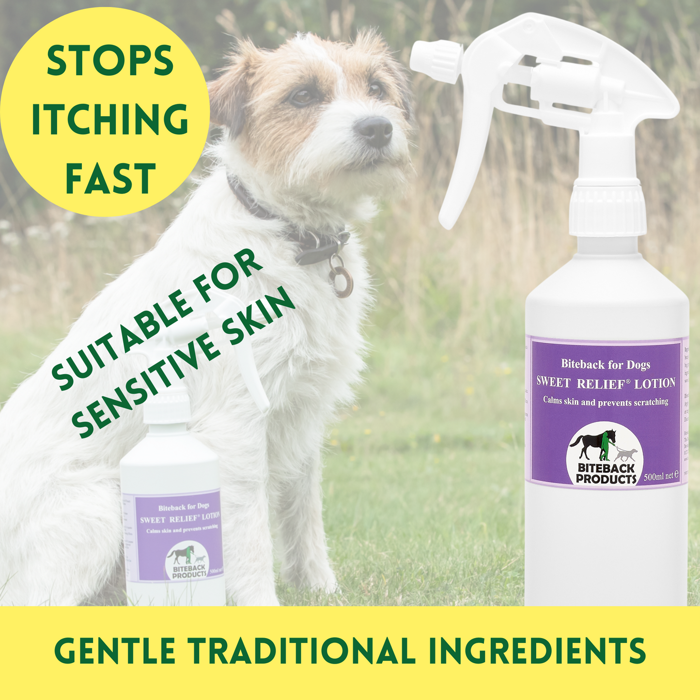 Benefits of itchy dog relief spray