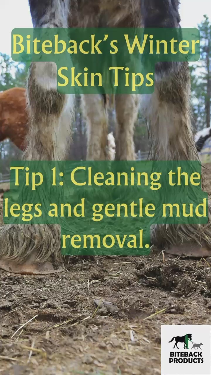 How to use Flowers & Zinc antiseptic powder to dry a horse's legs.