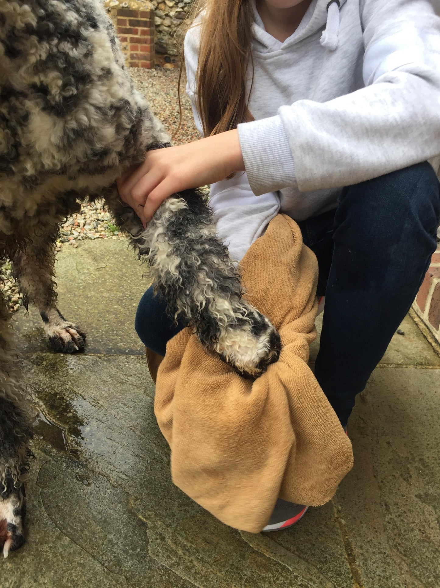 Clean paws with our organic shampoo for dogs