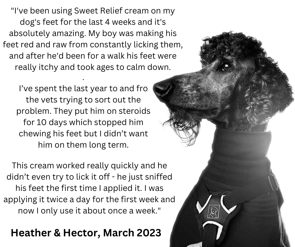 'Sweet Relief'™ Cream for Itchy Dogs