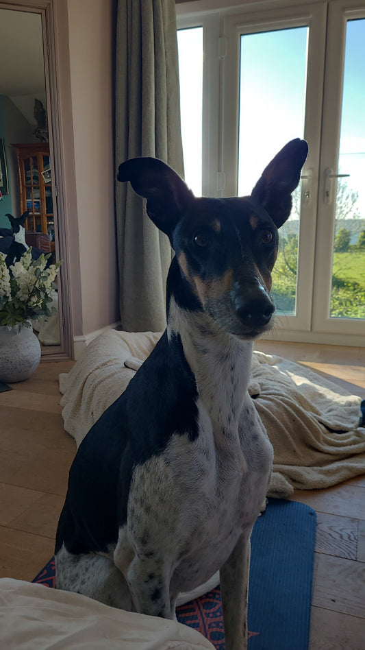 George’s Journey: Supporting His Skin Care After a Difficult Start
