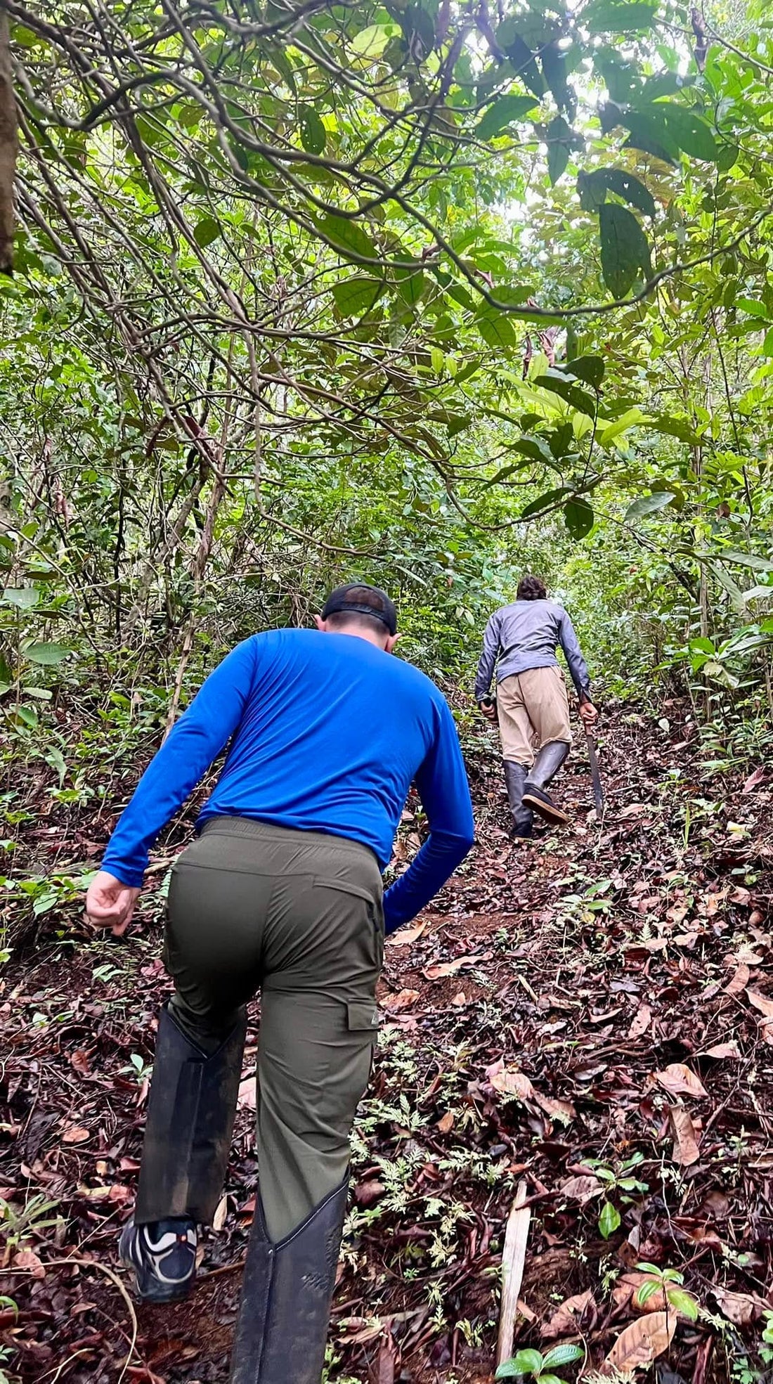 Veto Mosquito: 5* Protection Fit for the Amazon Jungle