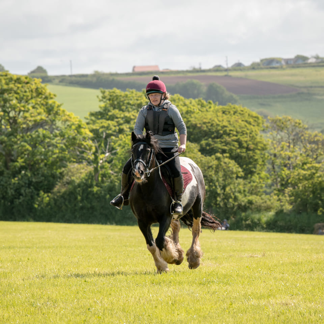 Sweet Itch Horse and Owner