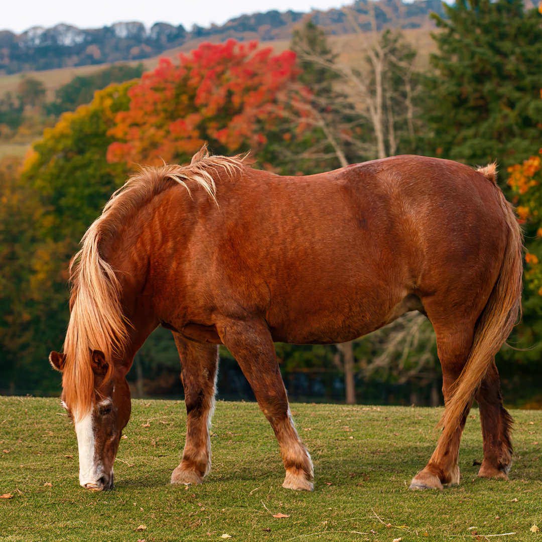 Time to switch up your grooming regime! 5 tips for healthy Autumn skin.