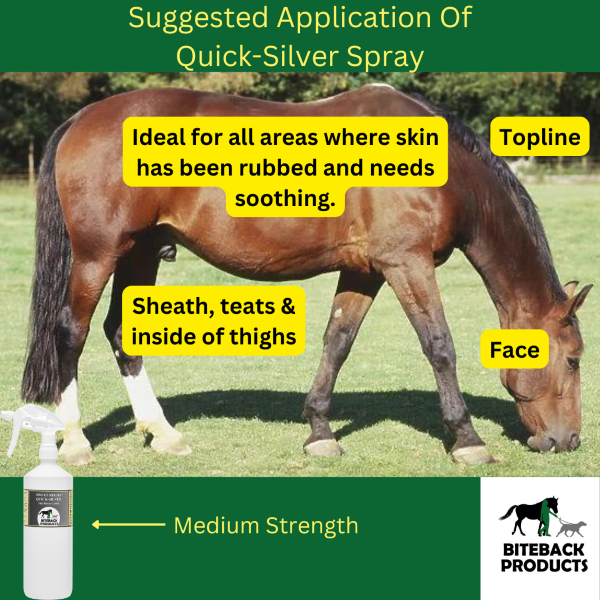 Quick-Silver Relief for Itchy Horses