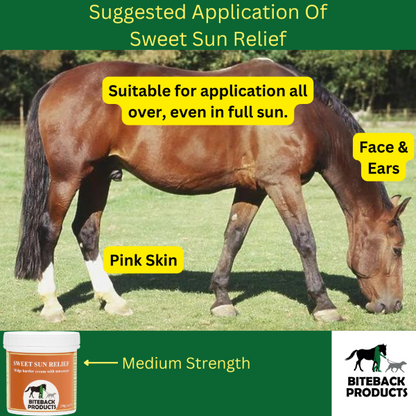 Sun cream for itchy horses