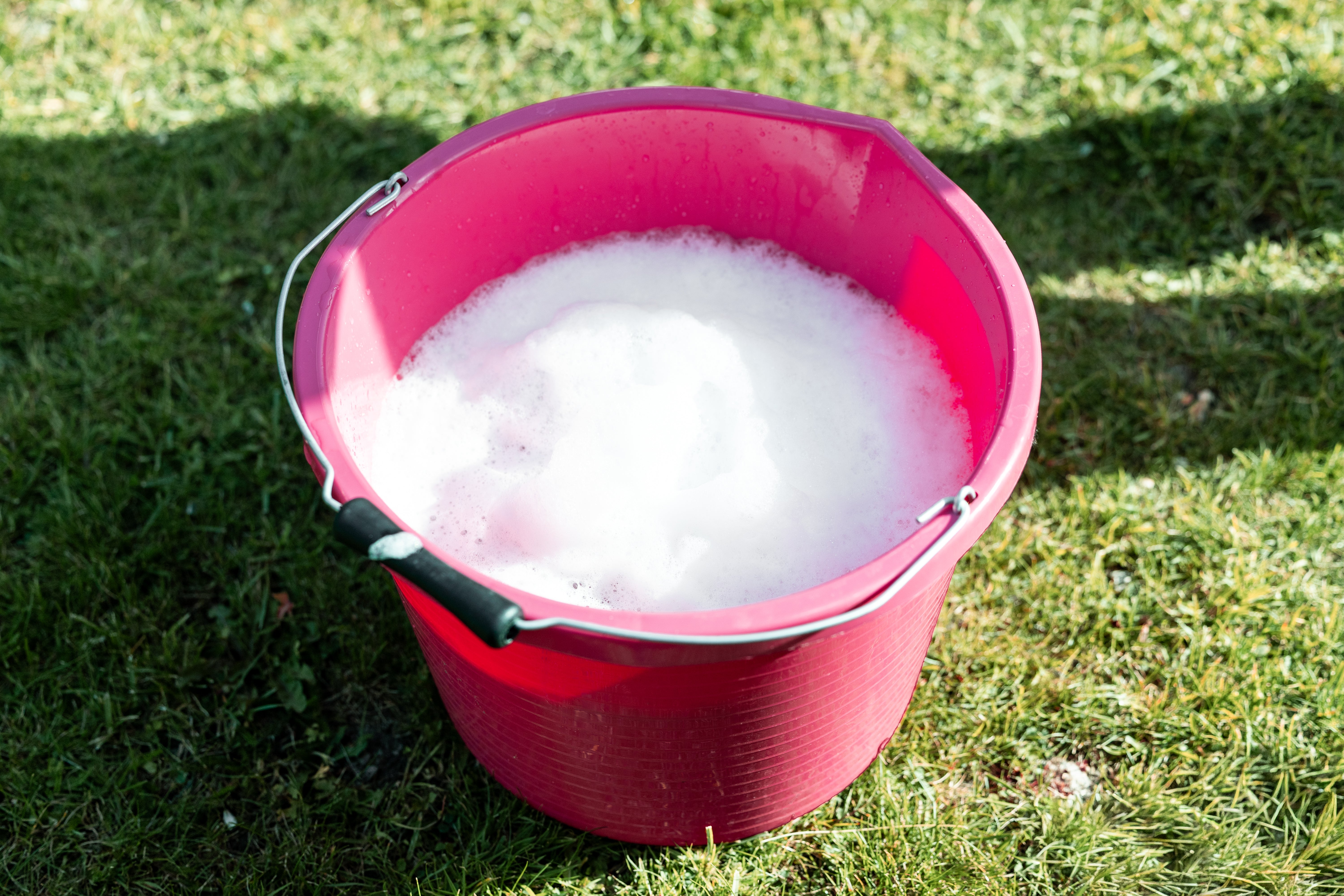 'Fizzy Fillies' Botanical Bucket Wash for Horses