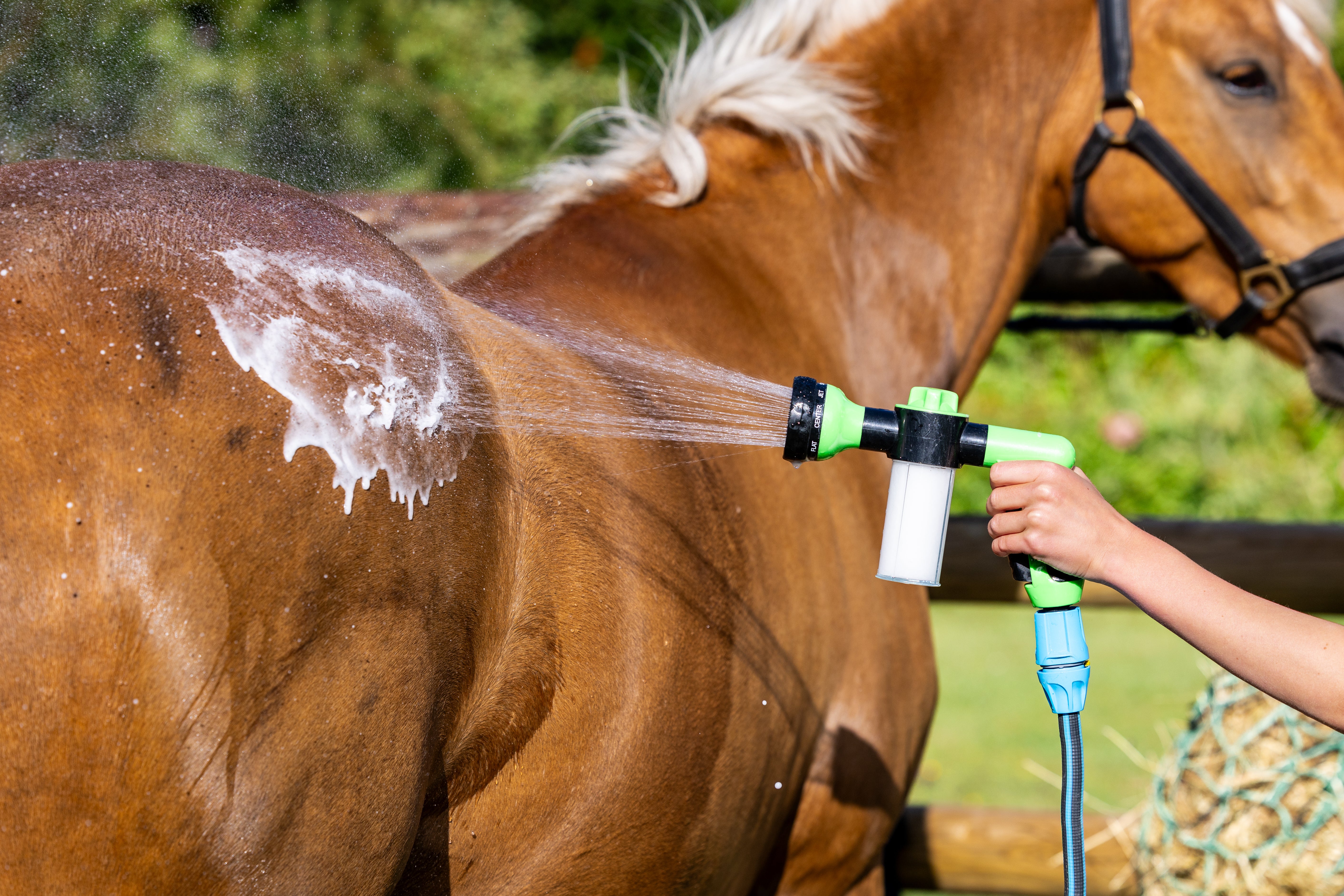 'Fizzy Fillies' Botanical Bucket Wash for Horses