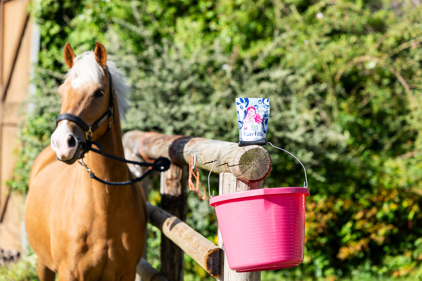 'Fizzy Fillies' Botanical Bucket Wash for Horses