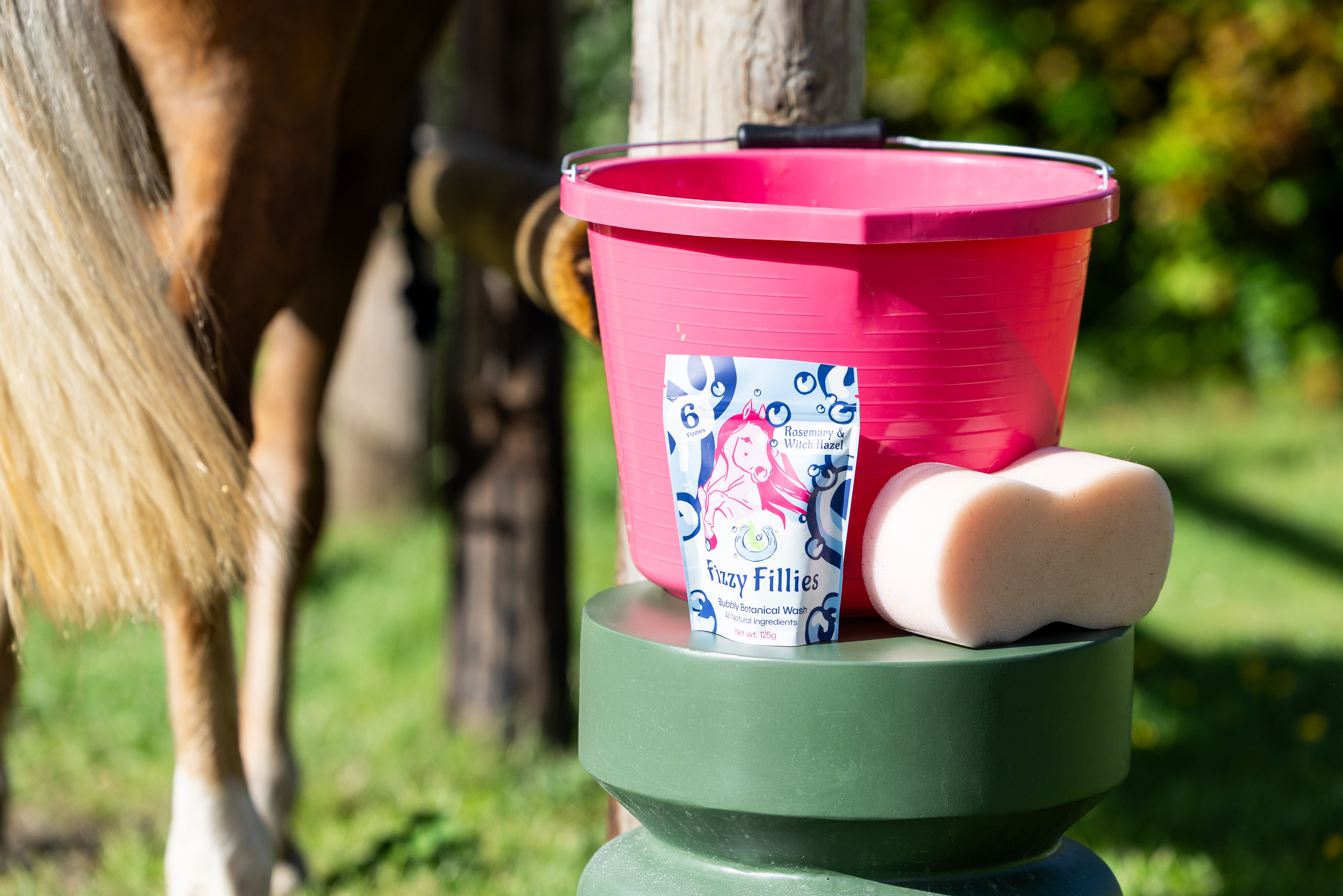 'Fizzy Fillies' Botanical Bucket Wash for Horses