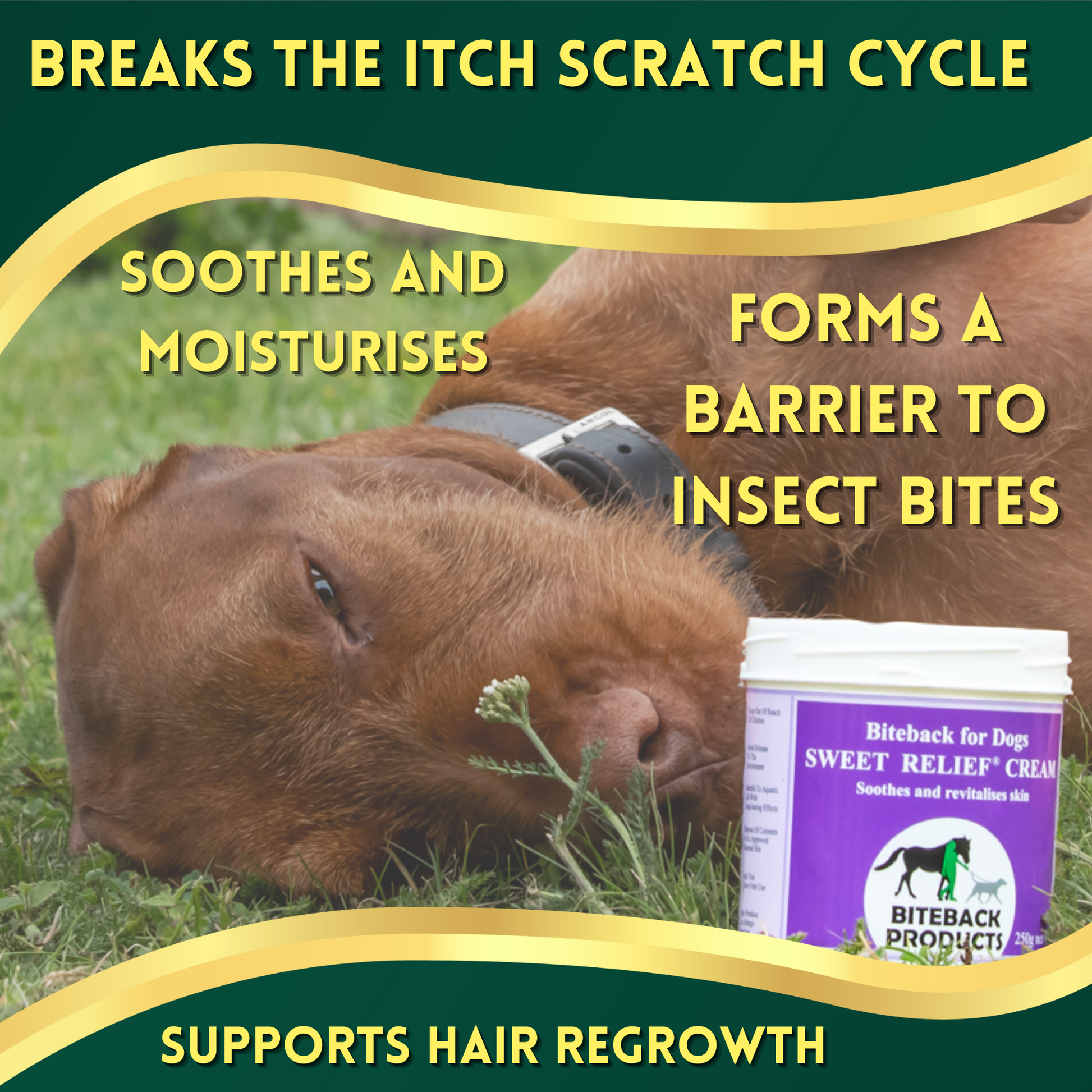 Benefits of Sweet Relief Cream for Itchy Dogs
