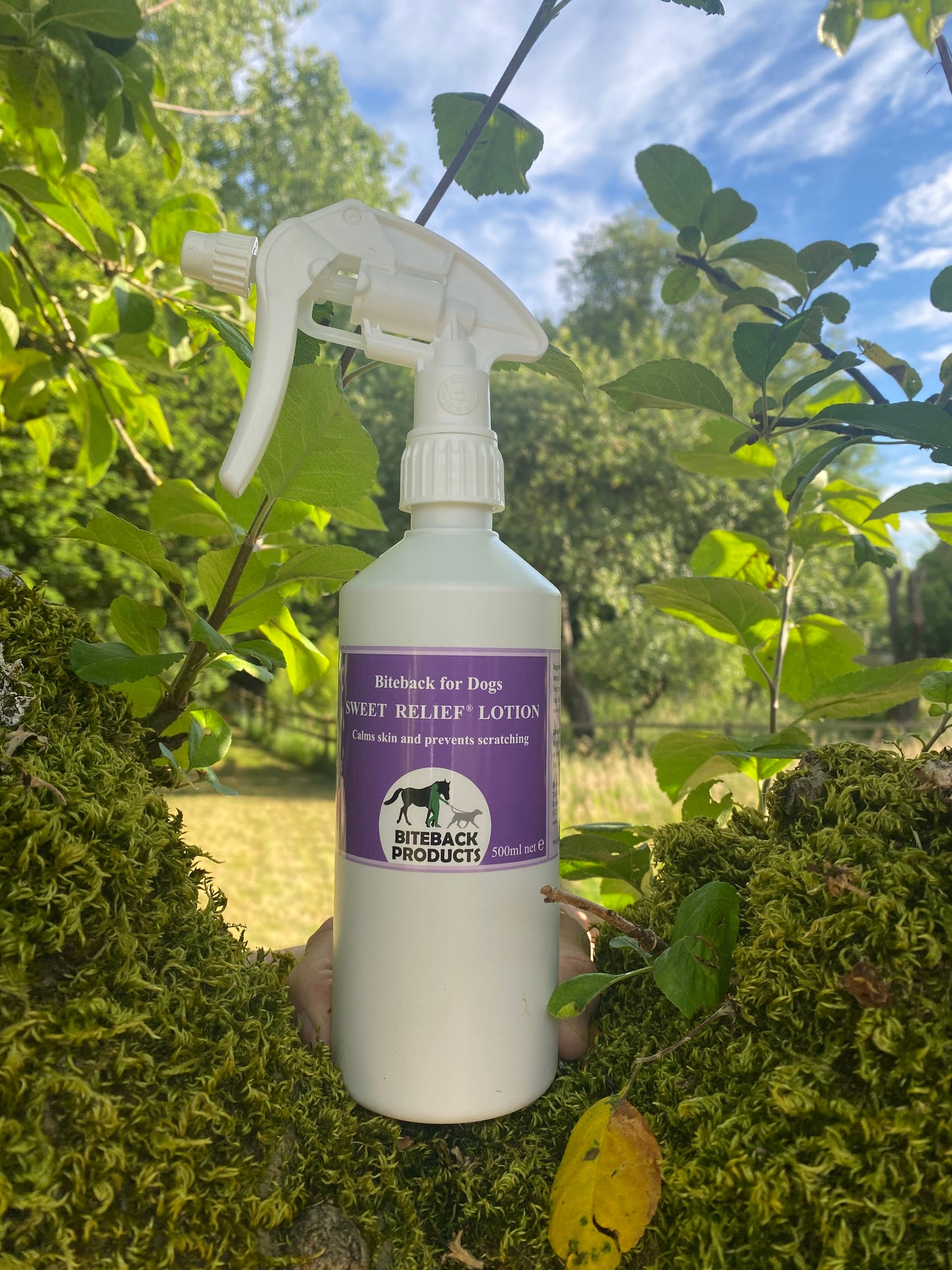 Itchy dog spray for skin relief