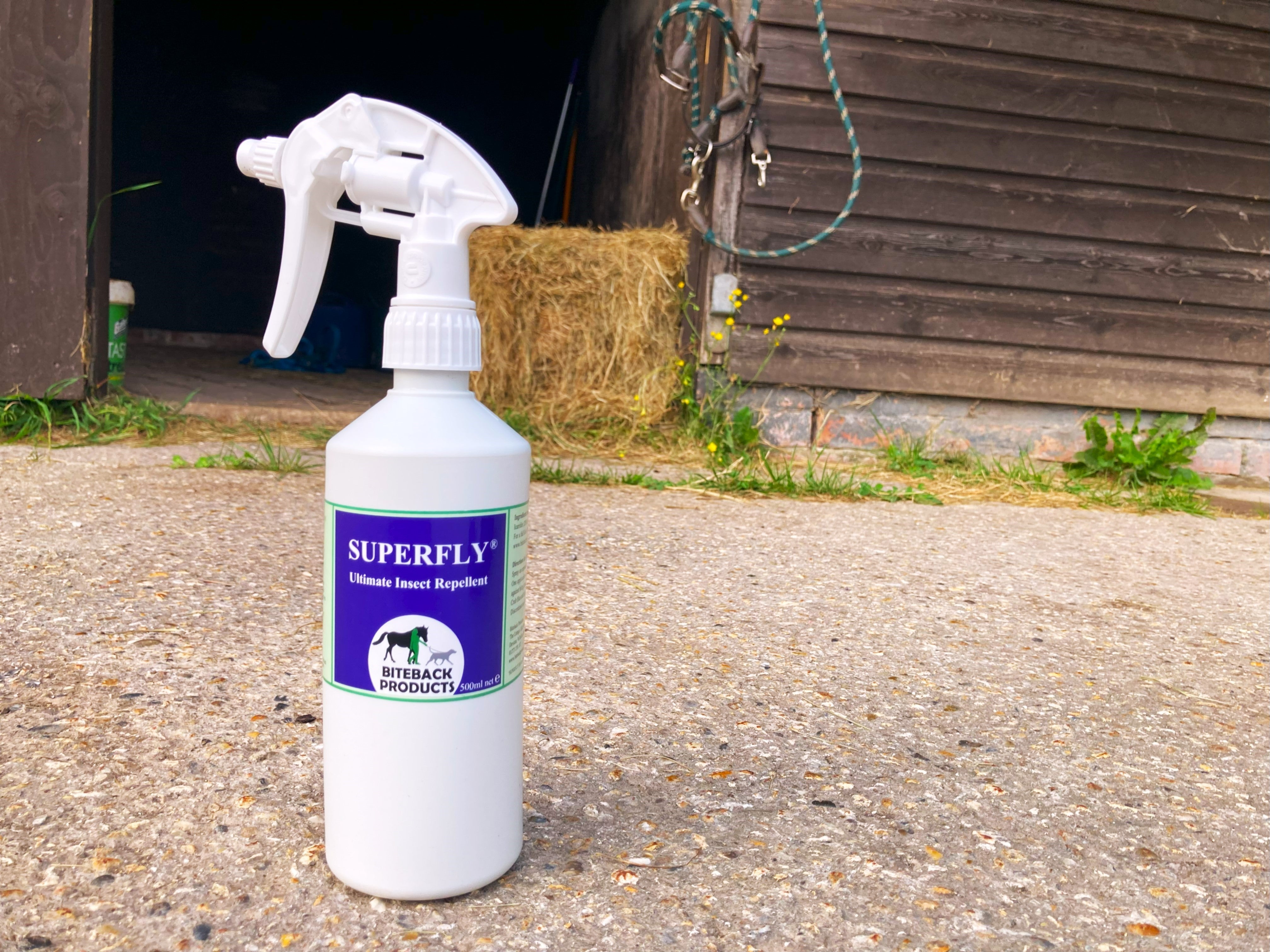 Horse fly repellent for dogs 2025