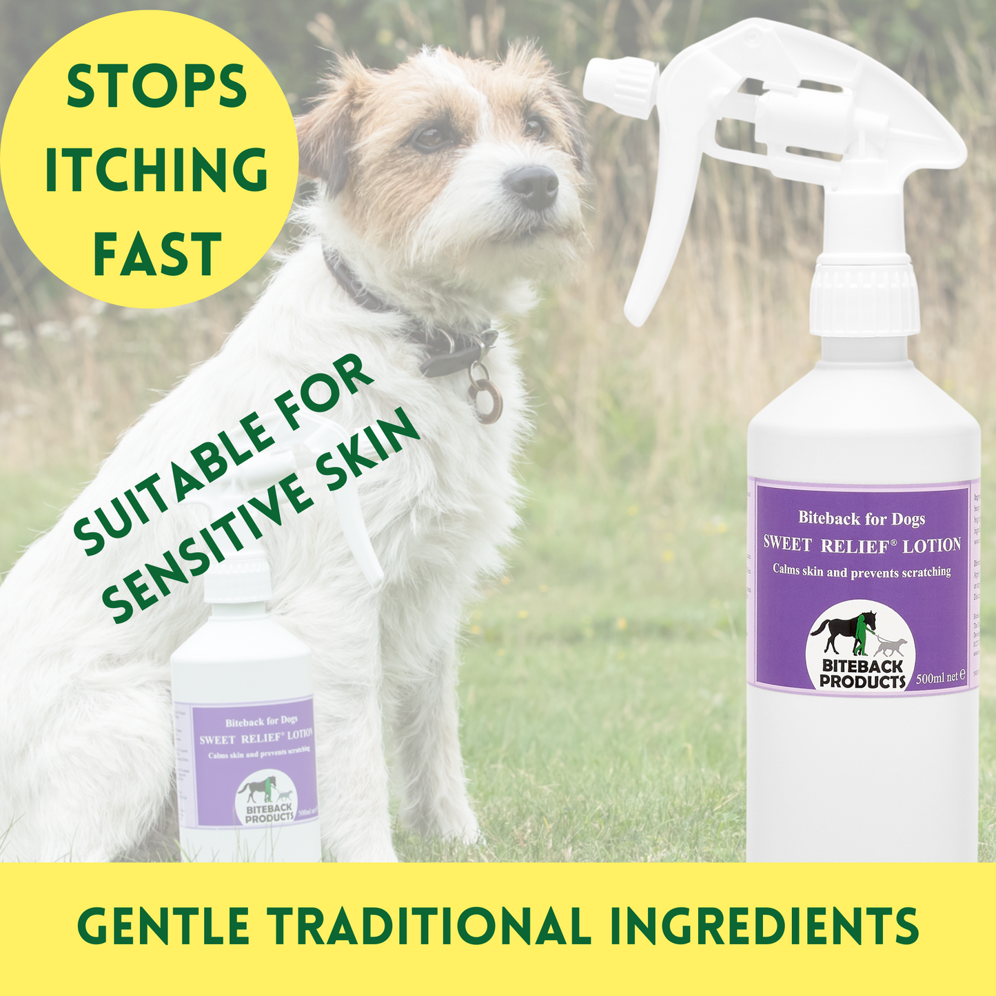 'Sweet Relief'™ Lotion for Itchy Dogs