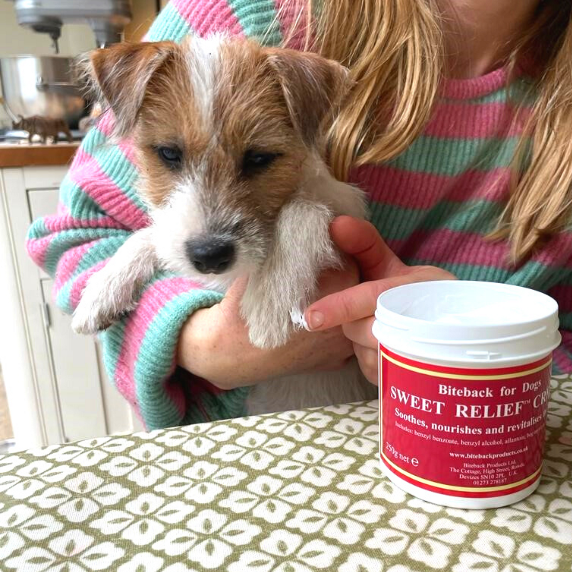 Best lotion for dog paws hotsell