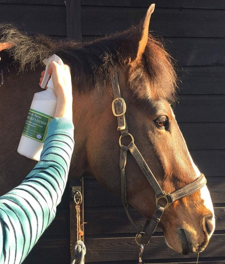 Sweet itch lotion being applied to a horse.