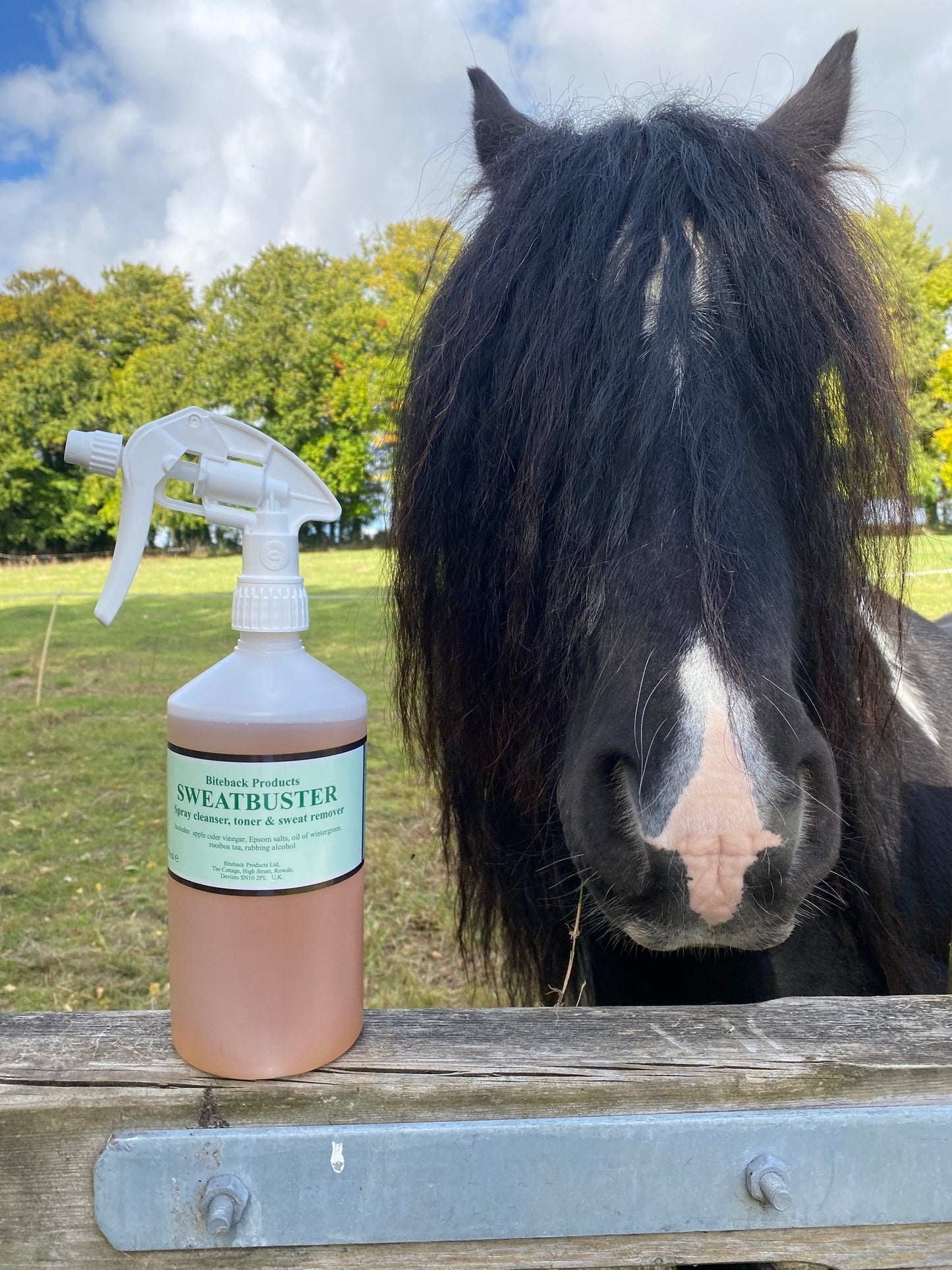 Sweatbuster grooming spray gets your horse dry very quickly.