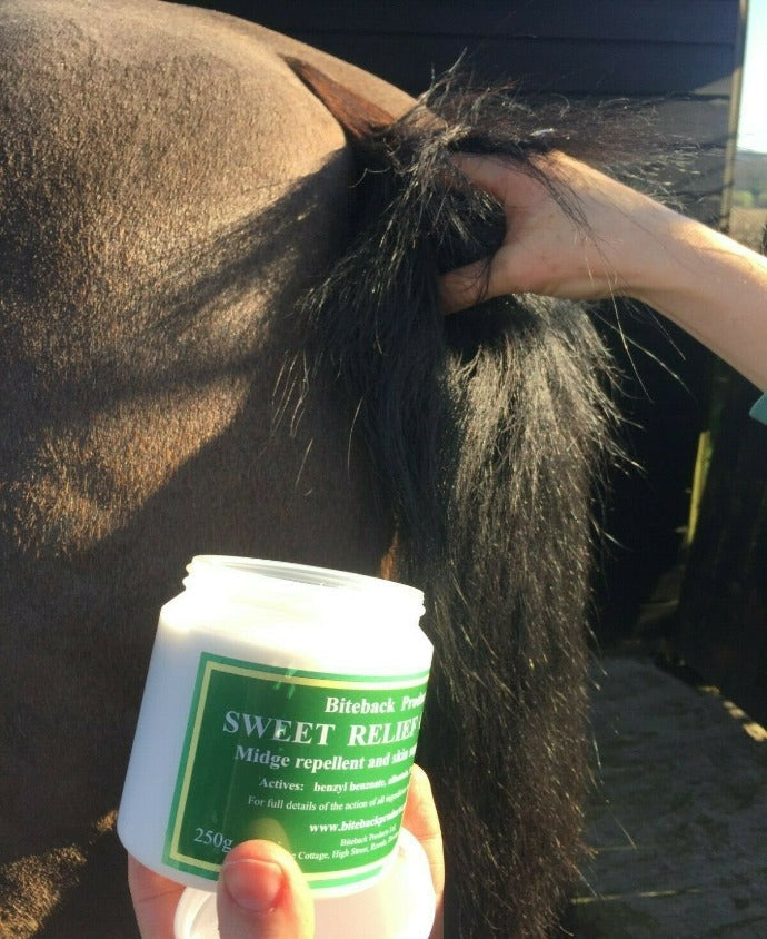 Applying Biteback's sweet itch cream to a horse or pony