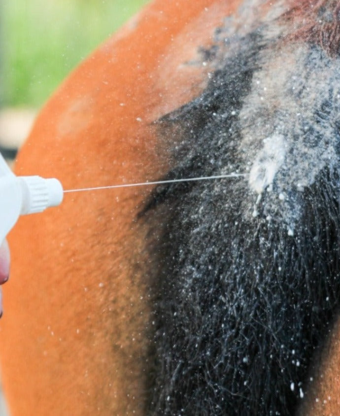 Apply Sweet Relief lotion to rubbed skin and it will stop itchiness and prevent more midge bites