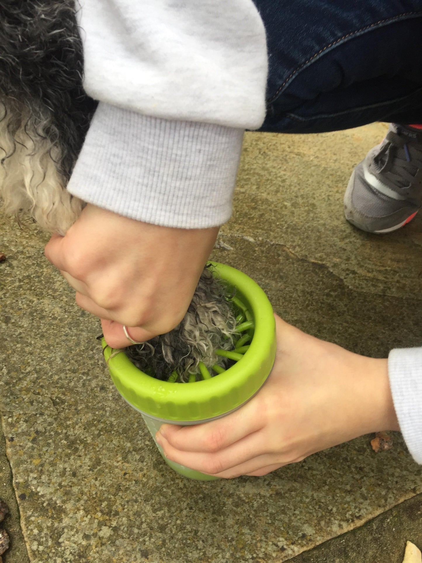 Using the organic dog shampoo to gently cleanse paws