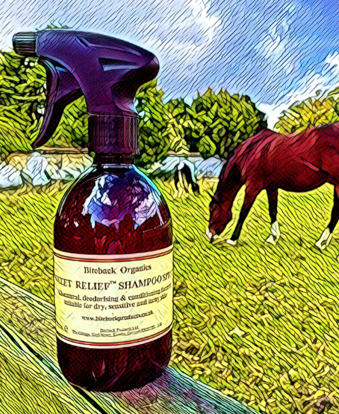 Sweet Relief shampoo is ideal for gently cleaning itchy horses with sweet itch.